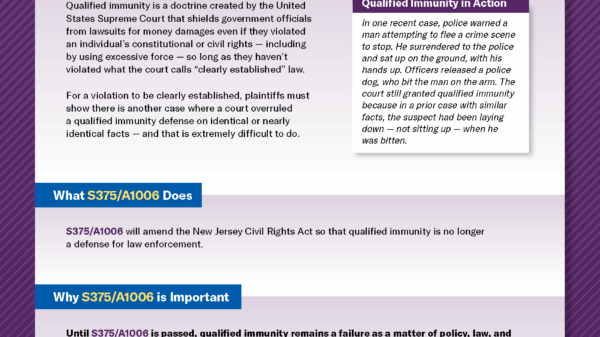 ACLU-NJ QI One-Pager