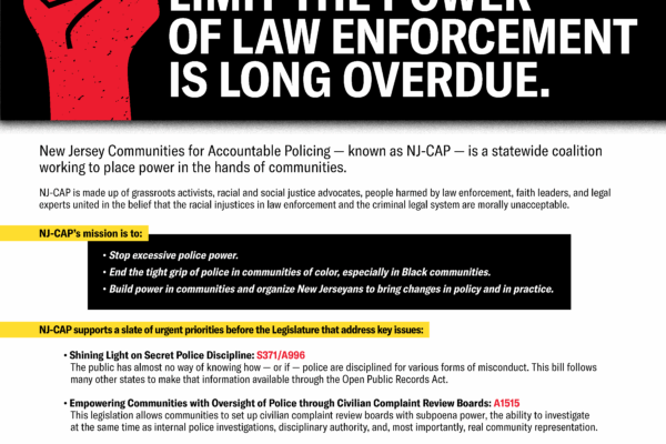 IMAGE-ACLU-NJ-CAP One-Pager