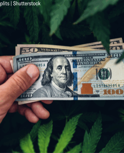 image of a hand holding $100 bills against a backdrop of cannabis leaves