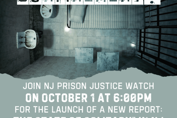 State of Solitary Launch Flyer