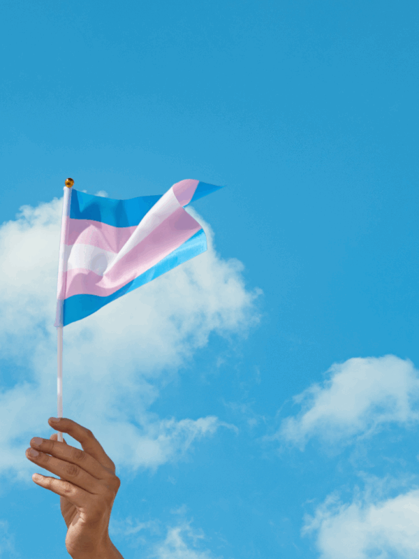 Hands holding PRIDE flags in the air
