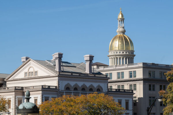 The New Jersey State House in Trenton.
