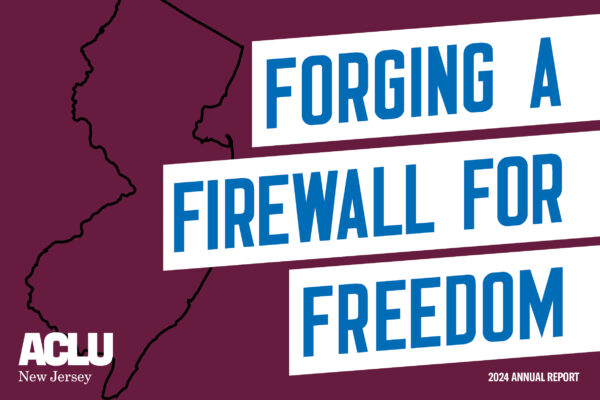 Forging a Firewall for Freedom in blue text on white block background with a purple background