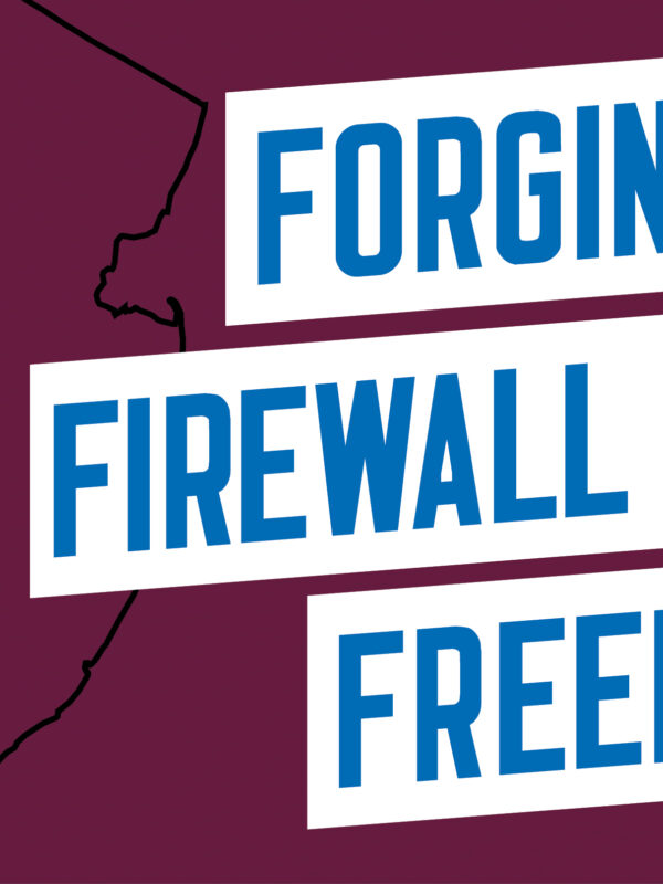 Forging a Firewall for Freedom in blue text on white block background with a purple background