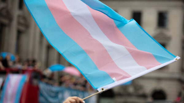 A Trangender flag being waved in front of a crowd