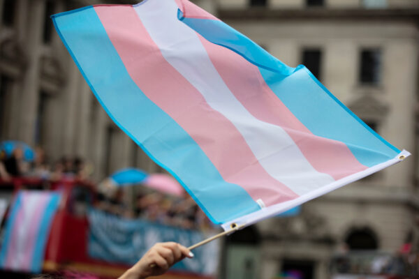 A Trangender flag being waved in front of a crowd