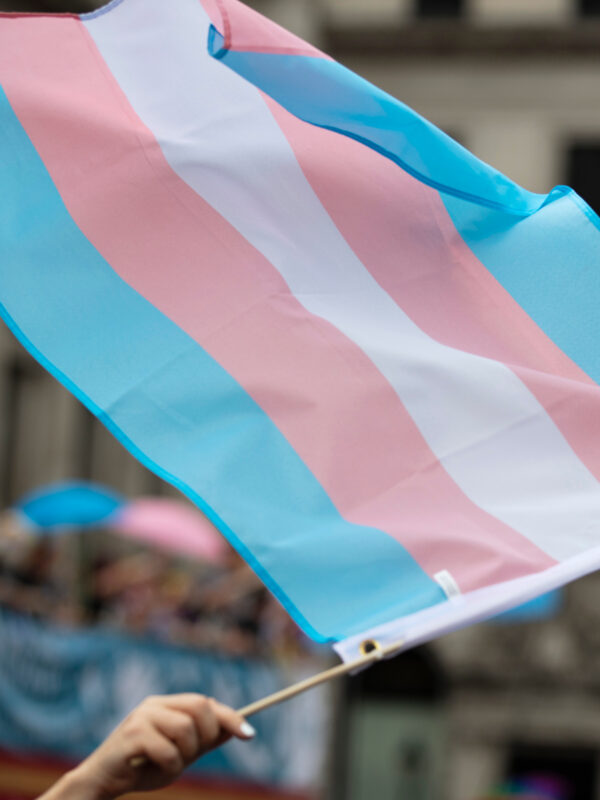 A Trangender flag being waved in front of a crowd