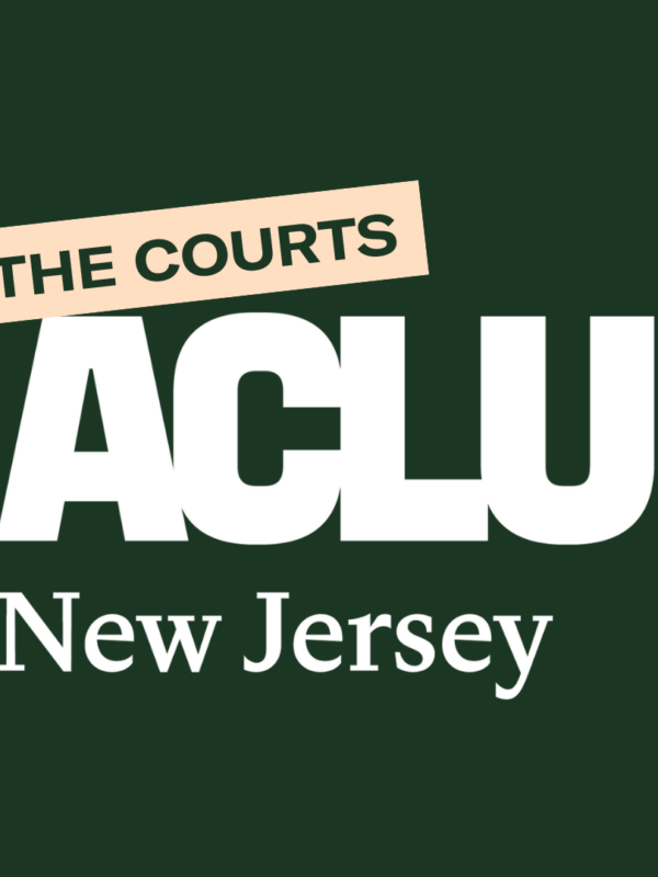 ACLUNJ In the Courts
