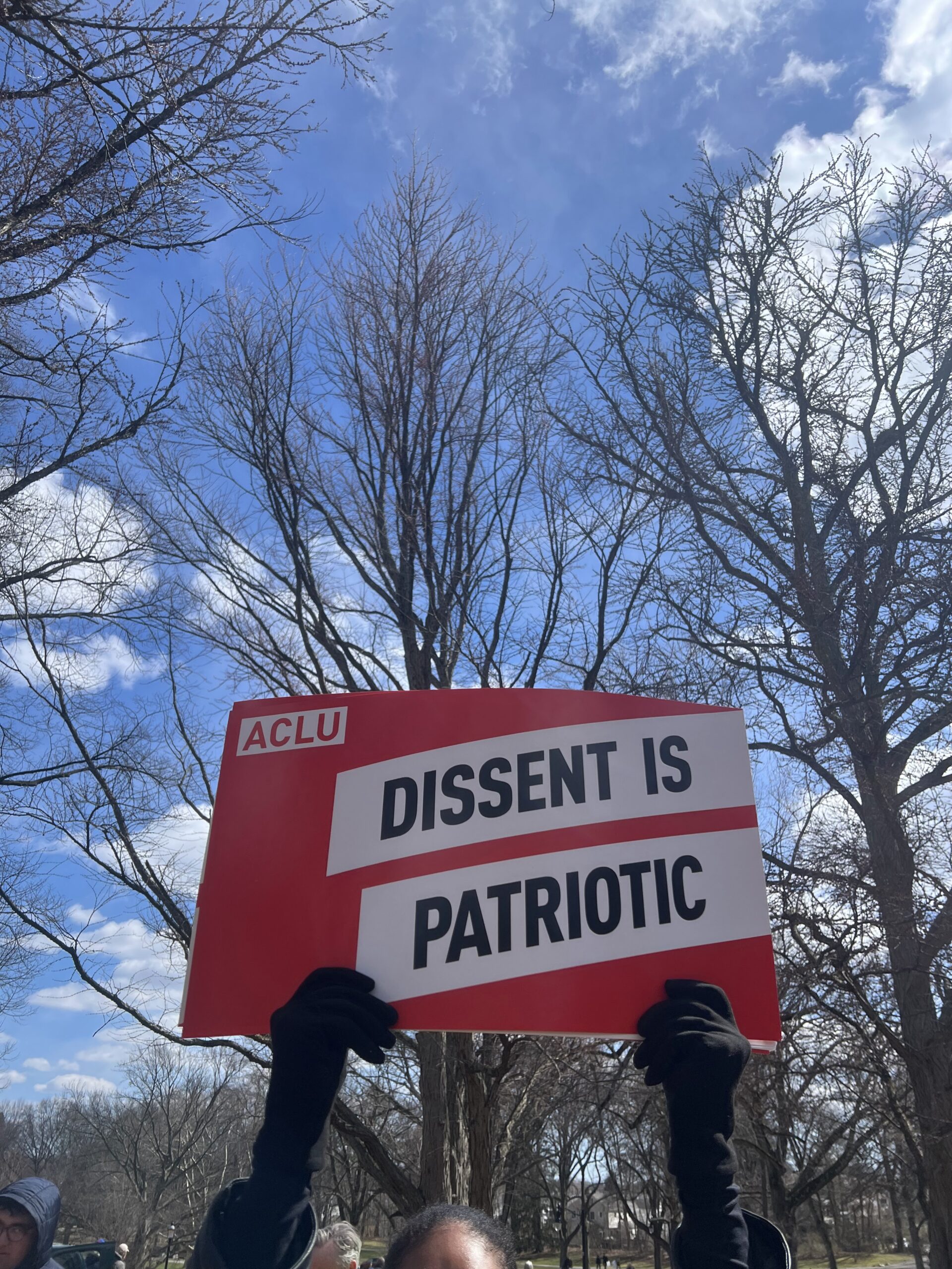 dissent is patriotic