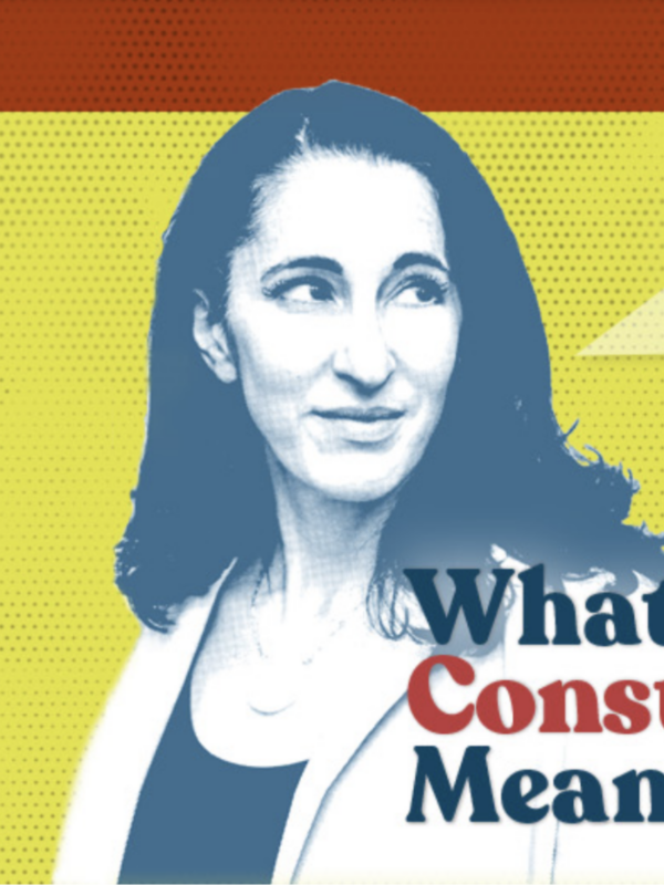 What the Constitution Means to Me Graphic