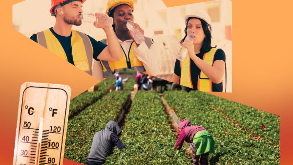 Collage elements including a photo of construction workers drinking from water bottles, a photo of workers picking crops in a field and a thermometer against an orange and red background