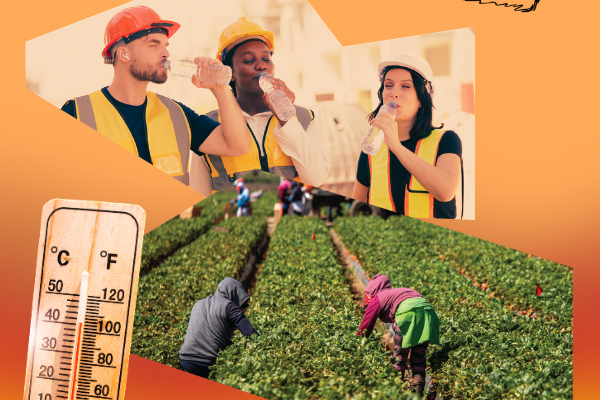 Collage elements including a photo of construction workers drinking from water bottles, a photo of workers picking crops in a field and a thermometer against an orange and red background