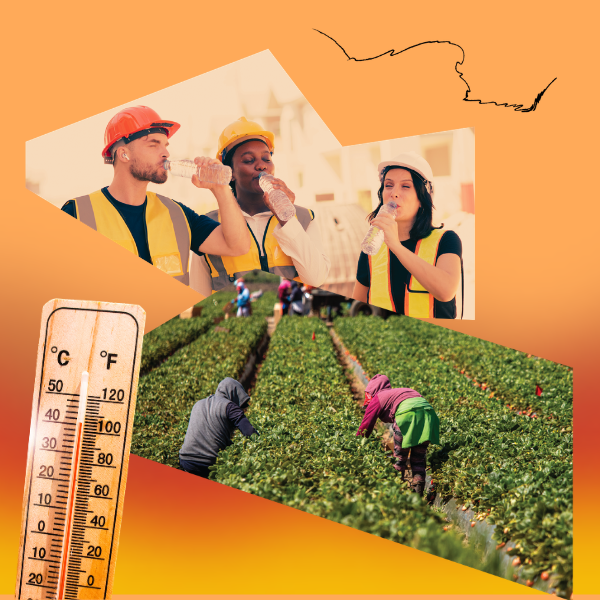 Collage elements including a photo of construction workers drinking from water bottles, a photo of workers picking crops in a field and a thermometer against an orange and red background