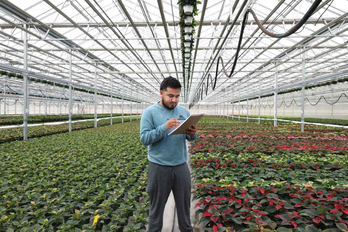 farmworker stands in the middle of a greenhouse surrounded by crops