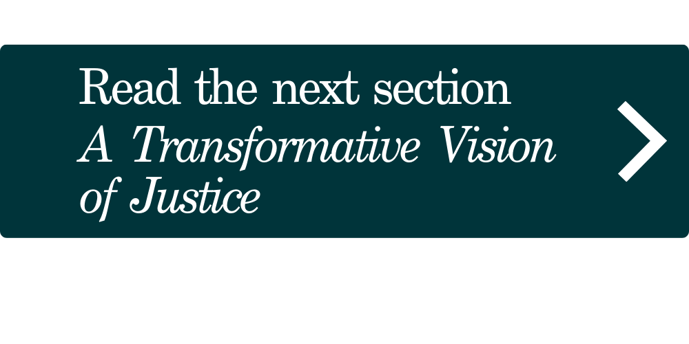 White text on greend background reading "Read the next section: A Transformative Vision of Justice"
