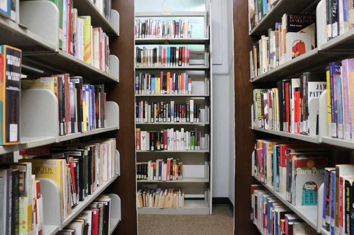Shelves of books in a library