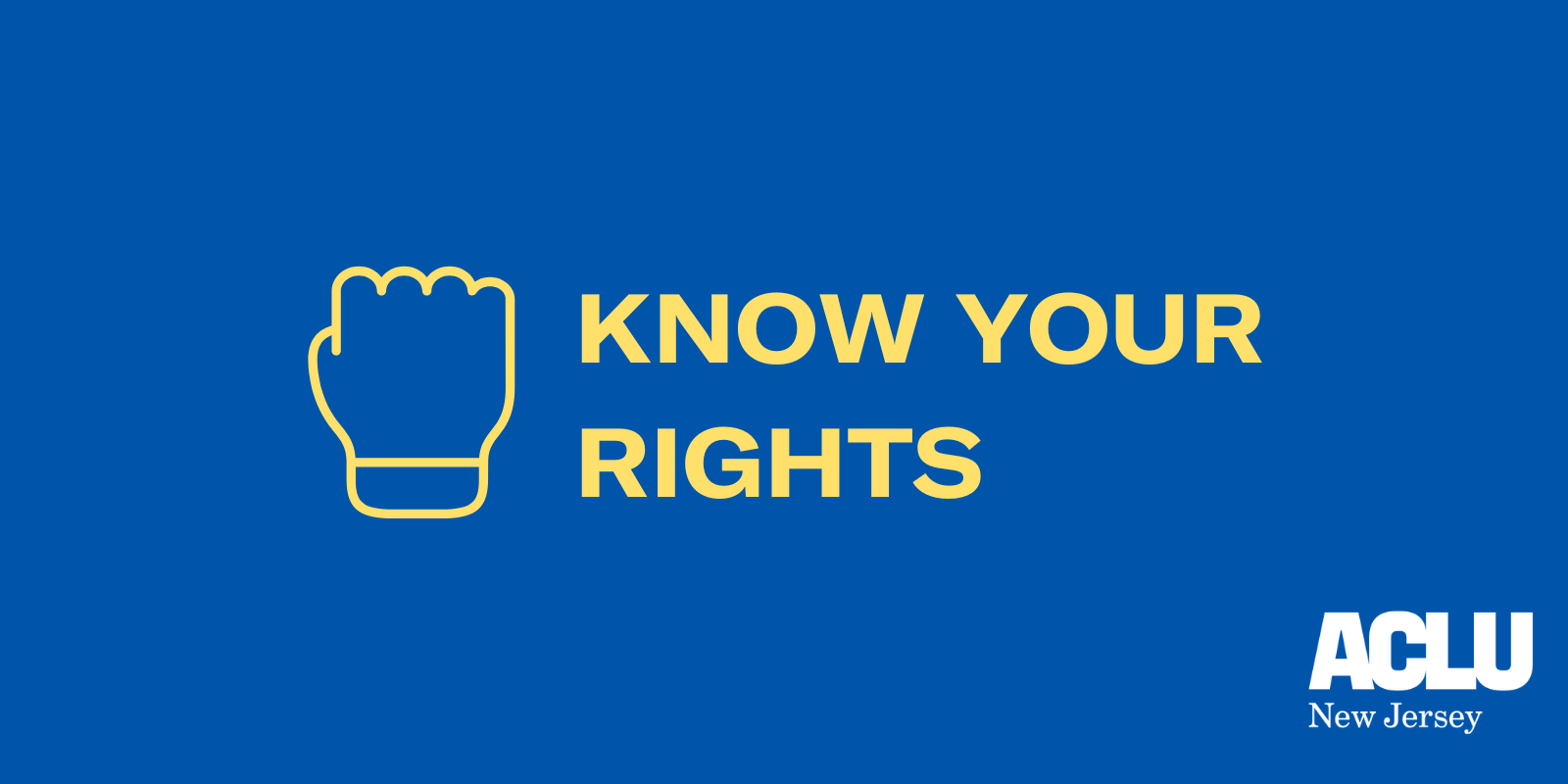 A blue background with an illustrated raised fist on the left and text that reads "Know Your Rights" on the right.