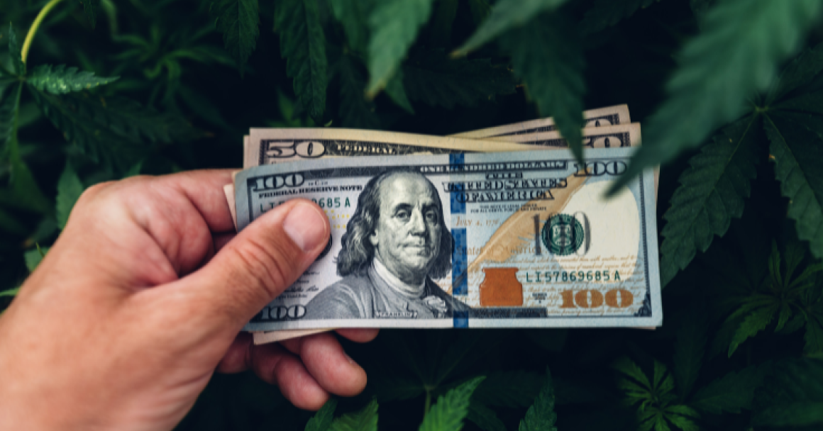 image of a hand holding $100 bills against a backdrop of cannabis leaves