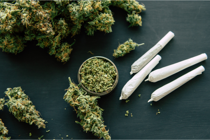 Joint and Grinder bud cannabis with crushed cannabis flowers 