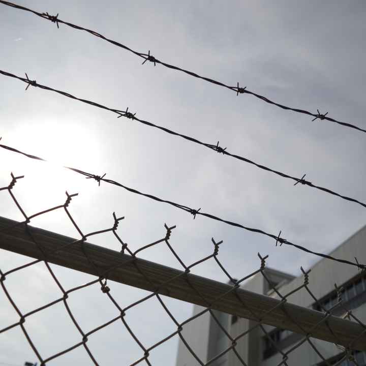 Barbed Wire
